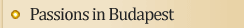 cultural programs  